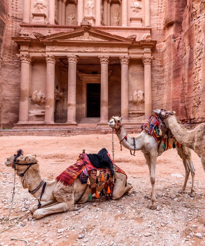 En bild på kameler framför Petra
