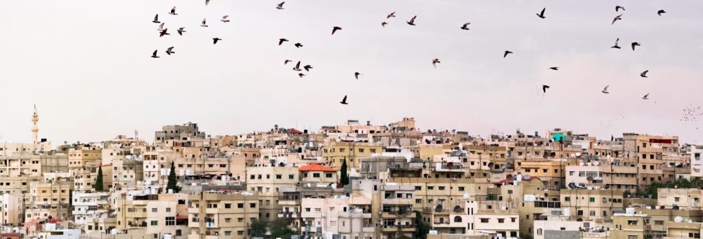 En bild på fåglar över Amman