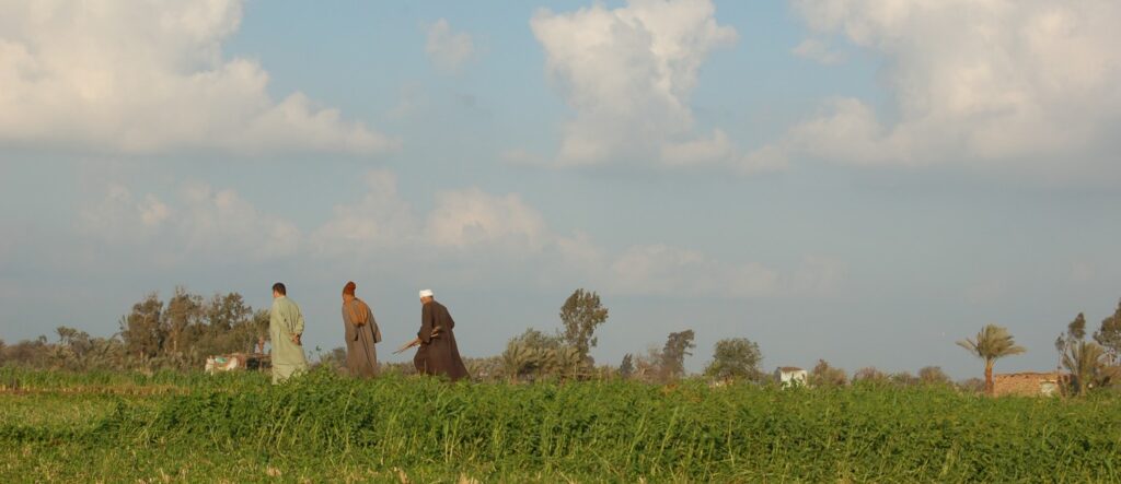 En bild på bönder i deltat i Egypten