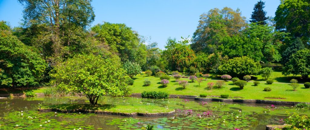 En bild på den botaniska trädgården i Kandy